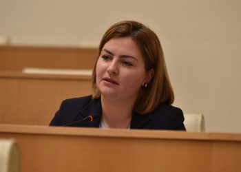 ვიპოვი 29 კოლეგას, რომელთან ერთადაც საკონსტიტუციოსგან მოვითხოვ ამ პარტიის გაუქმებას – ნაცვლიშვილი ალტ ინფოზე