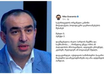ვლადიმერ ბოჟაძე: ნიკა გვარამია „ნაციონალური მოძრაობის“ აკრძალვას ითხოვს