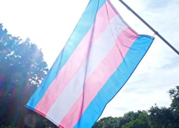 დღეს, 20 ნოემბერს, ტრანსგენდერთა ხსოვნის დღე აღინიშნება