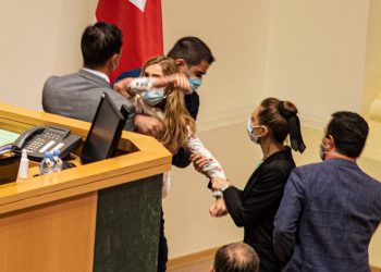 „გენდერული ნიშნით ძალადობას ადგილი არ ჰქონია“ – წილოსანი