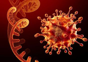 „ომიკრონი“ – ჯანმომ სამხრეთ აფრიკაში გამოვლენილ კორონავირუსის ახალ ვარიანტს სახელი შეურჩია