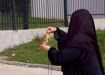 „დავაი დაეწყეთ და მიაფსით… სხვა მაინც არაფერი შეგიძლიათ!!!“ – ირინე გოგოსაშვილი