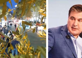 “ვინ წარმოიდგენდა, რომ მიშა საკნიდან შეხედავდა ქვეყნის მთავარ მოედანზე ცოცხალ ჯაჭვს” – ხერხეულიძე