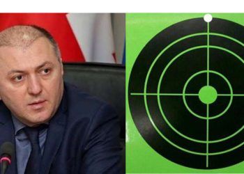ლილუაშვილის უწყება 4 000 ფერად სამიზნეს ყიდულობს – ტენდერის დეტალები