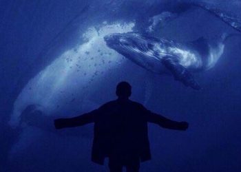 ბოლო ერთ თვეში სოფელში სამმა მოზარდმა მოიკლა თავი – რას ყვებიან ადგილობრივები