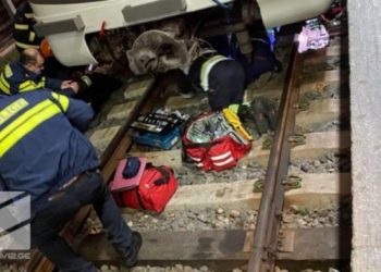 მეტროს ლიანდაგებში ადამიანი ჩავარდა – პირველ ხაზზე მოძრაობა დროებით შეჩერებულია