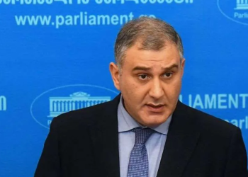 რიტორიკულად ვსვამ კითხვას, მიღებულია თუ არა სასამართლო სხდომების დისტანციურად, პატიმრების დისტანციური ჩართულობით გამართვა?! ასეთი პრაქტიკა არსებობს! – მიხეილ სარჯველაძე ოპონენტებს მიმართავს