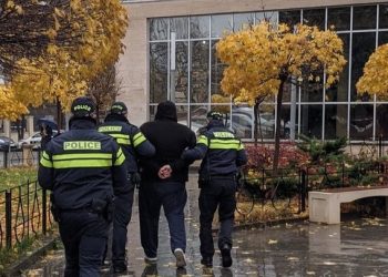 „გირჩი-მეტი თავისუფლების“ ცნობით, ნიკა მოსიაშვილი დააკავეს