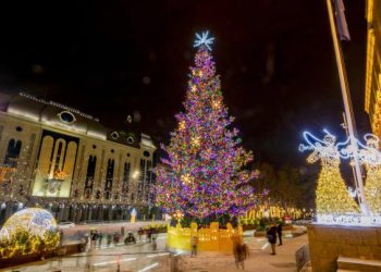 ფლანგვის დეტექტორი: თბილისის მერია საახალწლო განათებებსა და ნაძვის ხეში ₾207 ათასს დახარჯავს