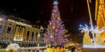 ფლანგვის დეტექტორი: თბილისის მერია საახალწლო განათებებსა და ნაძვის ხეში ₾207 ათასს დახარჯავს