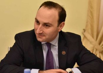 “თუ გახსოვთ ძმები კუბლაშვილები, ნიკა გვარამია…” – ოხანაშვილის პასუხი აშშ-ევროკავშირის კრიტიკას