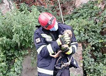 კლდეზე შერჩენილი ლეკვი მაშველებმა გადაარჩინეს – ფოტო