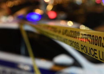 ოზურგეთში ორსულს ავტომობილი დაეჯახა – ოთხი შვილის დედა ადგილზე დაიღუპა