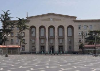 რუსთავის საკრებულოში “ნაციონალური მოძრაობის” 6 დეპუტატი შიმშილობას იწყებს