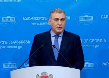 „ყველაზე საუკეთესო იქნება გადაწყვეტილება შიმშილობის შეწყვეტასთან დაკავშირებით“- მიხეილ სარჯველაძე