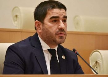 „უხერხულია, რომ ანა ფოტიგა ხელს ართმევდა მიხეილ სააკაშვილს, რომლის მიმართ ორი განაჩენი არსებობდა“ – შალვა პაპუაშვილი