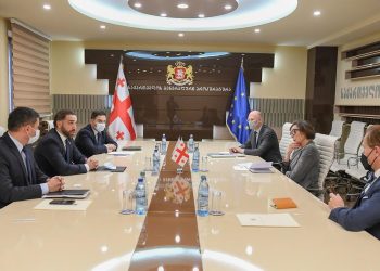 საქართველოს გენერალური პროკურორი ირაკლი შოთაძე სამხრეთ კავკასიაში ეუთოს სპეციალური წარმომადგენლობის ხელმძღვანელს  ანიკა სოდერს შეხვდა