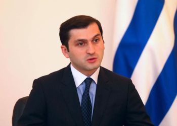 თუ ჩემი ოჯახის წევრი ჩანაწერში არ ფიგურირებს, ყველას მოვთხოვ ბოდიშს – თორნიკე რიჟვაძე