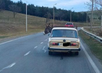 „არ გეგონოთ წინ გადაურბინა , მანქანაში ზის“ – ფოტოები