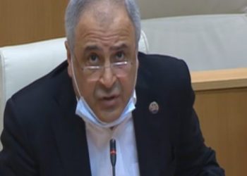 “წავიდნენ და დაცალონ ველი…” – ზილფიმიანი