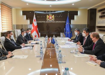 საქართველოს გენერალური პროკურორი ირაკლი შოთაძე  ევროპის საბჭოს საპარლამენტო ასამბლეის მონიტორინგის კომიტეტის წევრებს შეხვდა