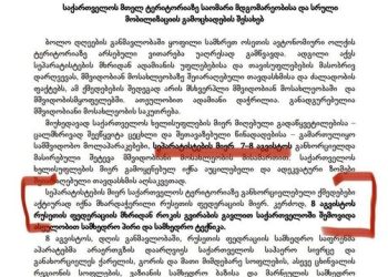 „სანამ იმ სახელმძღვანელოს ავტორებს გავლანძღავთ, მანამდე მიშა გვყოლია გასალანძღი“ – მერაბ მეტრეველი