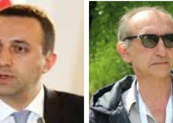 “ღარიბაშვილი მიდის, მიდის და გადადგება, ოღონდ…” – გია გაბრიჭიძე