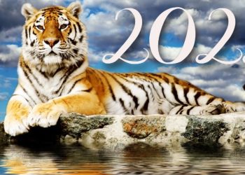 როგორ შევხვდეთ ახალ 2022 წელს – ასტროლოგის რჩევა