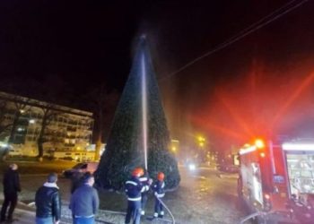 თელავის ნაძვის ხეს ცეცხლი გაუჩნდა