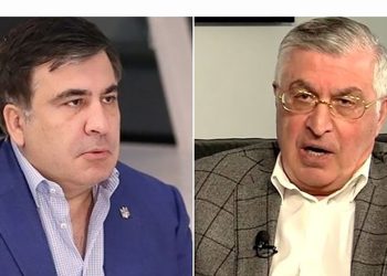 “აღშფოთდა ოპოზიცია, ისე აღშფოთდა, მართლა კინაღამ გაერთიანდა, აღშფოთდა მიშას პარტიაც, ისე აღშფოთდა, რომ მიშას დაკავებიდან ორთვენახევრის მერე შიმშილობა დაიწყო…”