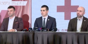 საჯარო რეესტრმა ალტ ინფოს პარტია დაარეგისტრირა