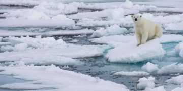 არქტიკაში რეკორდული სიცხე – 38 გრადუსი დაფიქსირდა