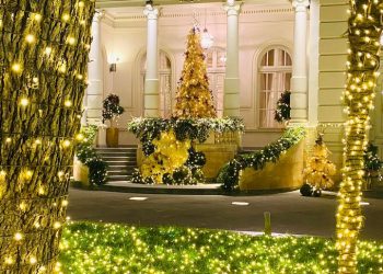 “მსოფლიოს არც ერთ ქვეყანას აქვს ჩიჩილაკი, მიხარია, რომ პრეზიდენტმა წელსაც დადგა ეზოში” – გოგა ჩანადირი