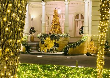 “ეს პოლიტიკანები რომ ამოწურავენ ჩიჩილაკთან ვიზიტებს, მერე იქნებ იმ მშიერი ბავშვების ფოტოებიც მაჩვენოთ, ვინც მაგ ეზოში გახარებული ჟრიამულობდა…” – ყალაბეგაშვილი