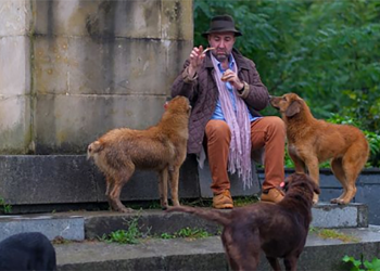 ნასაკირალზე ბევრ უპატრონოდ დაყრილ ძაღლს ვხედავ და ჩემი ბავშვობისდროინდელი ამბავი მახსენდება – ზურაბ შევარდნაძის ემოციური პოსტი