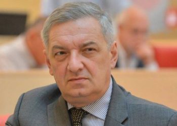 ჩემთვის სკანდალურობა იმაშია, რომ სახალხო დამცველი პოლიტიკურ პლატფორმაზე დგას – გია ვოლსკი