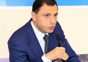 პარლამენტის განათლების კომიტეტის თავმჯდომარე გიორგი ამილახვარი გახდა