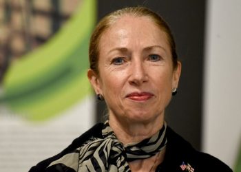 მაქვს საკონსტიტუციო სამართალში გამოცდილება, მათ შორის კონსტიტუციის შემუშავებაში მიმიღია მონაწილეობა – კელი დეგნანის პასუხი ირაკლი კობახიძეს