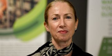 მაქვს საკონსტიტუციო სამართალში გამოცდილება, მათ შორის კონსტიტუციის შემუშავებაში მიმიღია მონაწილეობა – კელი დეგნანის პასუხი ირაკლი კობახიძეს