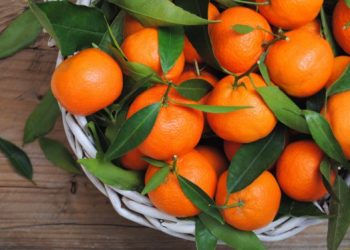 გეოგრაფიული აღნიშვნის სტატუსი – სახელმწიფომ ხობის მუნიციპალიტეტში წარმოებული მანდარინის განსაკუთრებულობა დაადასტურა