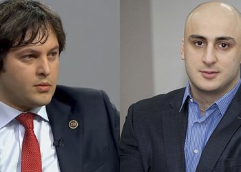 “დეკემბრის ბოლოდან 10 იანვრის ჩათვლით, ანუ მაშინ, როცა თითქოს პოლიტიკისთვის არავის ეცლება, ნაციონალები ასეთ გეგმას ამუშავებენ”