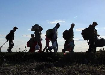 რამდენი უცხოელი მიგრანტი ცხოვრობს საქართველოში – გაეროს ანგარიში