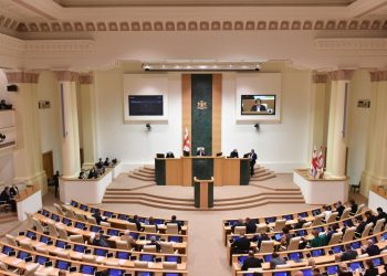 პარლამენტმა უმაღლესი განათლების შესახებ საქართველოს კანონში შესატან ცვლილებებს მხარი დაუჭირა