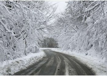 რთული მეტეოროლოგიური პირობების გამო, საავტომობილო გზებზე შეზღუდვები დაწესდა. დეტალურად