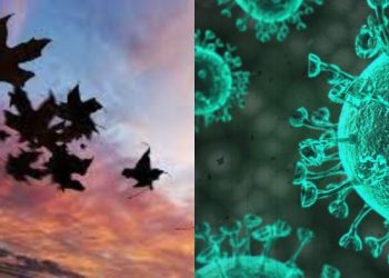 ამცირებს თუ არა ქარიანი დღეები COVID-19-ის გავრცელებას – ახალი კვლევა