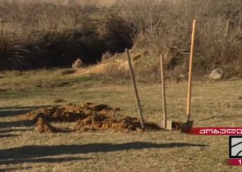 ქობულეთში მცხოვრებმა ოჯახმა “ნავთობისა და გაზის კორპორაციის” მაღალი წნევის მილის დემონტაჟი სცადა