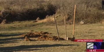 ქობულეთში მცხოვრებმა ოჯახმა “ნავთობისა და გაზის კორპორაციის” მაღალი წნევის მილის დემონტაჟი სცადა