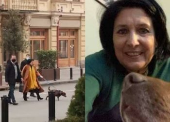 (ვიდეო) – “გომბორა, შენ უთხარი” – რა უნდა გვითხრას პრეზიდენტის ოთხფეხა მეგობარმა?