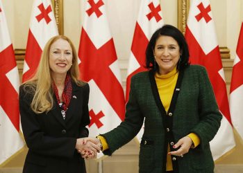 რა მოლაპარაკებას მართავს სალომე ზურაბიშვილთან ამერიკის ელჩი და რა ამპლუაში შეიძლება ვიხილოთ მოქმედი პრეზიდენტი?