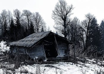 “ეს არის თავშესაფარი ყვარში, სადაც ზვიად გამსახურდიამ თავისი სიცოცხლის უკანასკნელი დღეები გაატარა…” – ქაცარავა